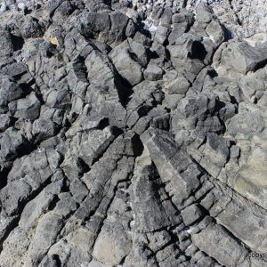Gallery 20