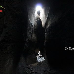 Gallery 26