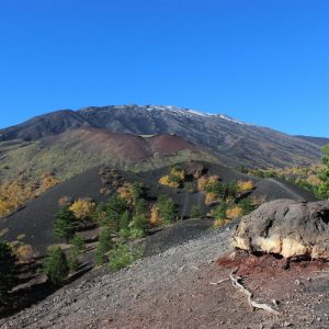 Etna Crateri Sartorius