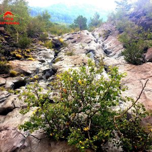 Etna Sentiero Serracozzo
