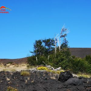 Etna Brandelli E Bombe Vulcaniche Erzione Del 2002
