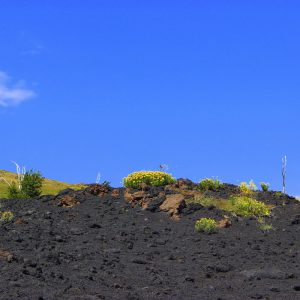 Etna colori e contrasti