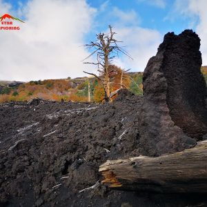 Etna La Pietra Cannone